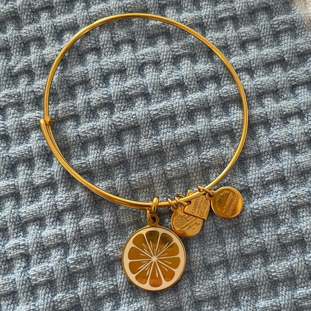 Alex and Ani bangle